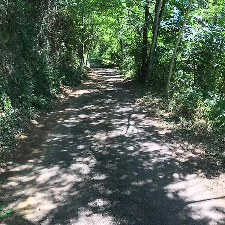 Grande Maison, Bordure Foret, La Citadelle Hébergement de vacances *